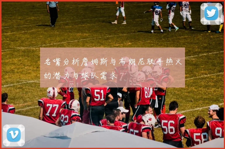 名嘴分析詹姆斯与布朗尼联手热火的潜力与球队需求